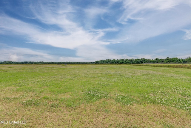 view of yard featuring a rural view