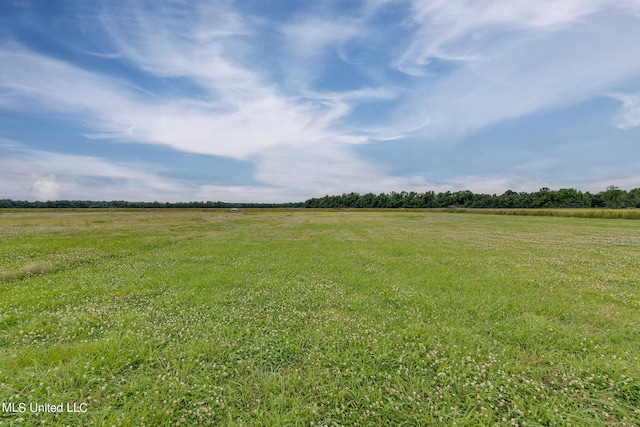 view of yard with a rural view