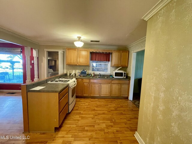 1103 N Yale St, Cleveland, MS 38732 - kitchen with white appliances, light wood-style flooring, dark countertops, ornamental molding, and a peninsula
