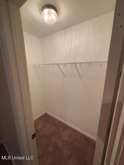 walk in closet featuring dark colored carpet