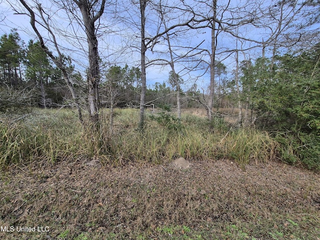 Yukon St, Bay Saint Louis MS, 39520 land for sale