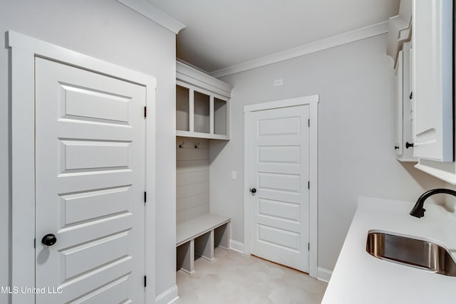 124 Grayson Way, Madison, MS 39110 - mudroom featuring a sink, ornamental molding, and baseboards