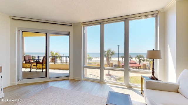 entryway featuring light hardwood / wood-style floors, a textured ceiling, a healthy amount of sunlight, and a water view