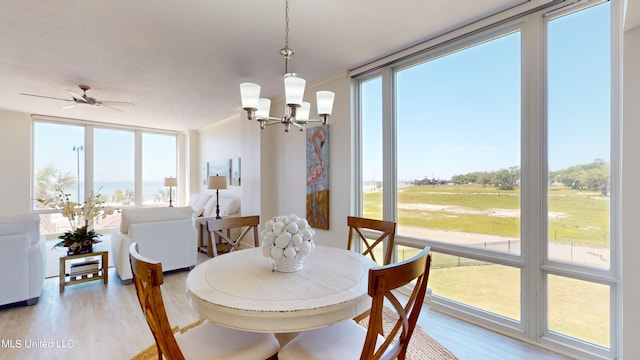 dining room featuring a wealth of natural light, light hardwood / wood-style flooring, and ceiling fan with notable chandelier