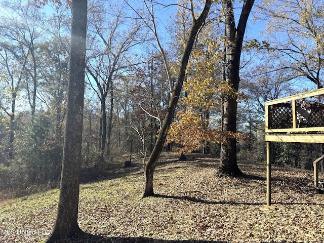 46 Stirling Rd, Natchez, MS 39120 - view of yard