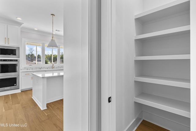 126 Herons Bay Cir Lot 1136, Madison, MS 39110 - interior space