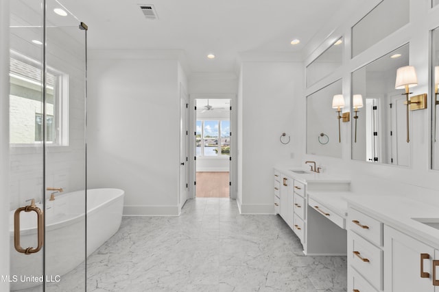 bathroom with vanity, a healthy amount of sunlight, and independent shower and bath