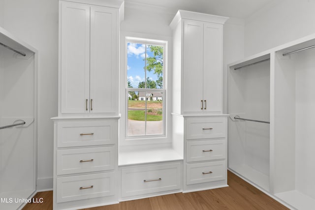 walk in closet with hardwood / wood-style floors