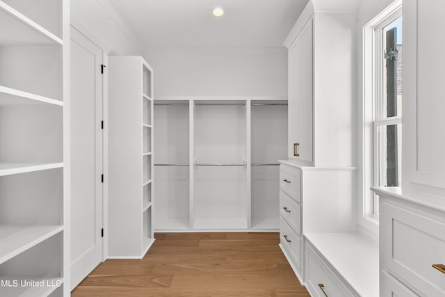 walk in closet with light wood-type flooring