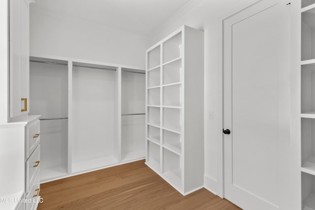 walk in closet featuring wood-type flooring