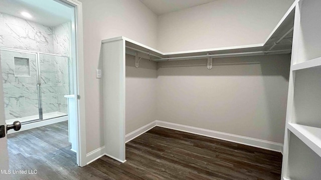 walk in closet featuring dark hardwood / wood-style floors