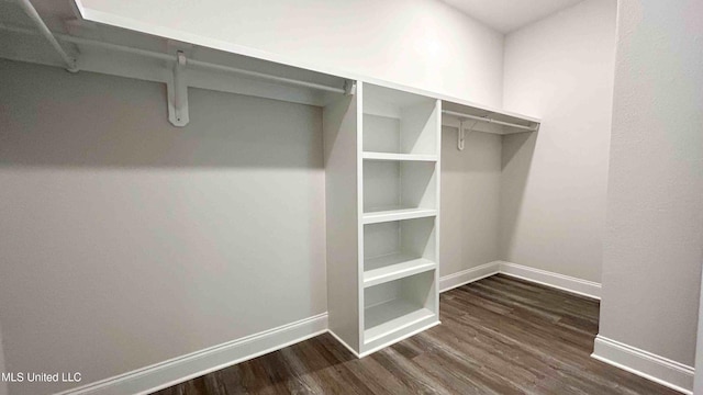 walk in closet featuring dark wood-type flooring