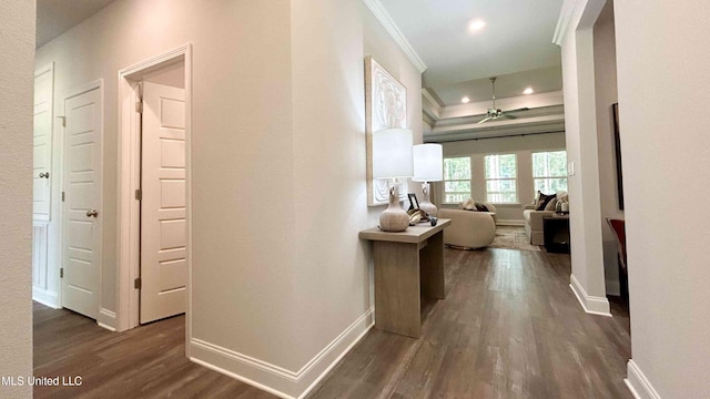 corridor featuring crown molding and dark hardwood / wood-style floors