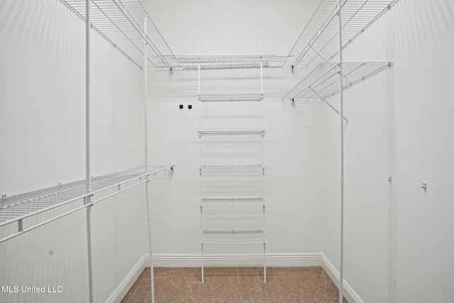 walk in closet featuring carpet