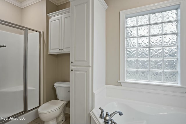 full bath featuring a healthy amount of sunlight, a shower stall, and toilet