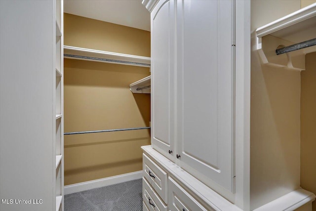 306 Canebreak Cv, Madison, MS 39110 - view of closet