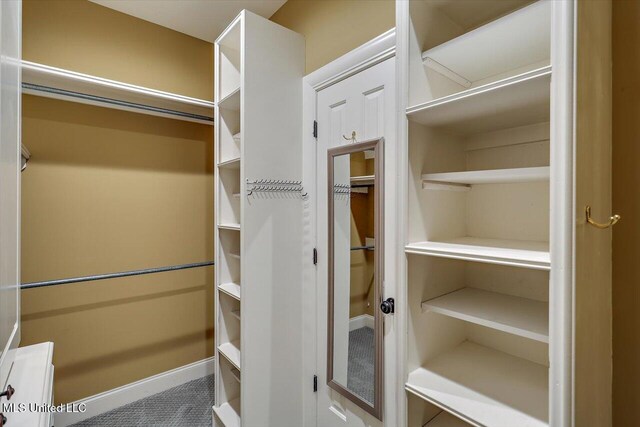 306 Canebreak Cv, Madison, MS 39110 - view of walk in closet