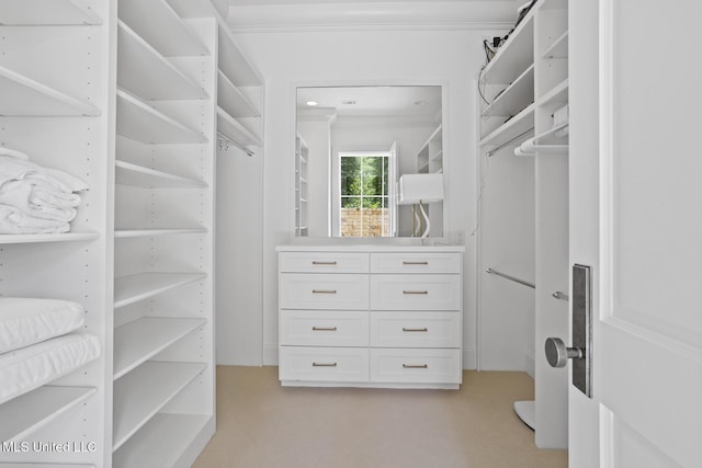 150 Old Trace Rd, Madison, MS 39110 - view of walk in closet
