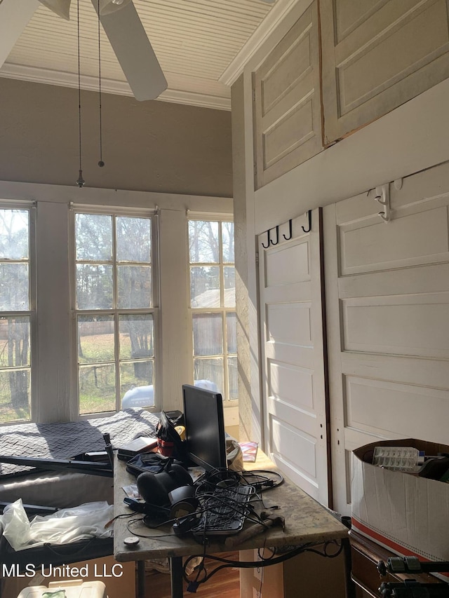 interior space featuring crown molding and a wealth of natural light