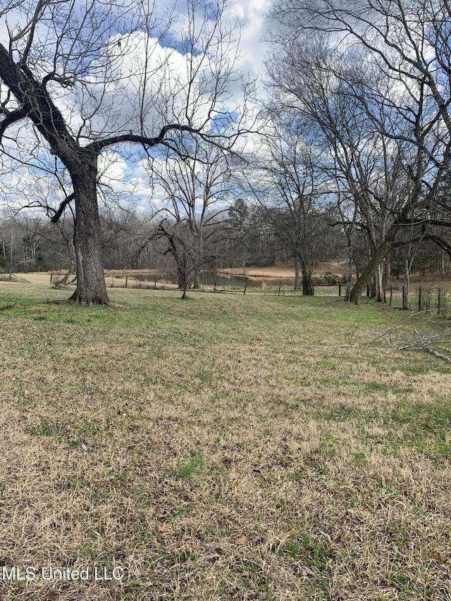 view of yard with a rural view