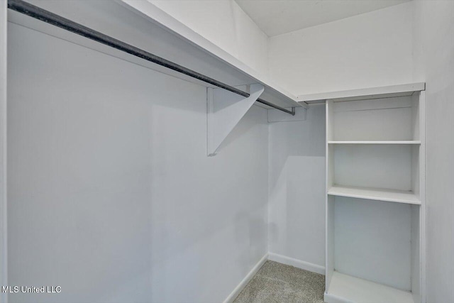 walk in closet featuring light colored carpet