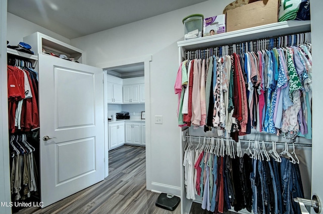 walk in closet featuring wood finished floors