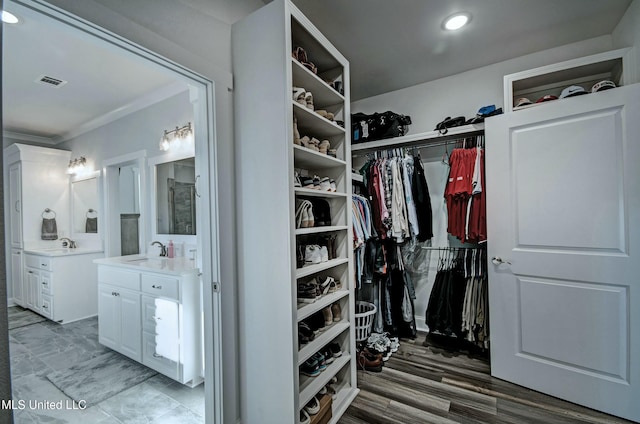 walk in closet with a sink and visible vents