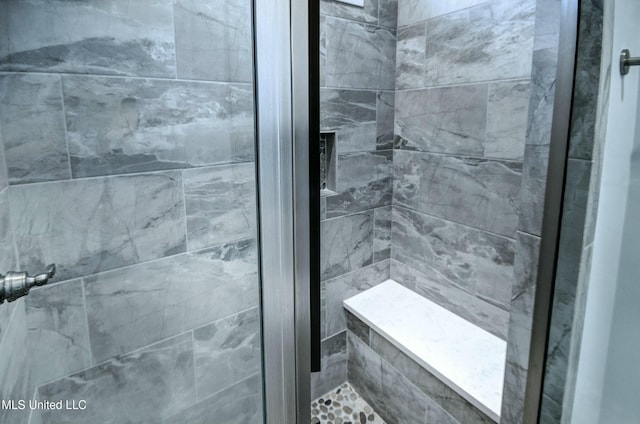 bathroom with a shower stall