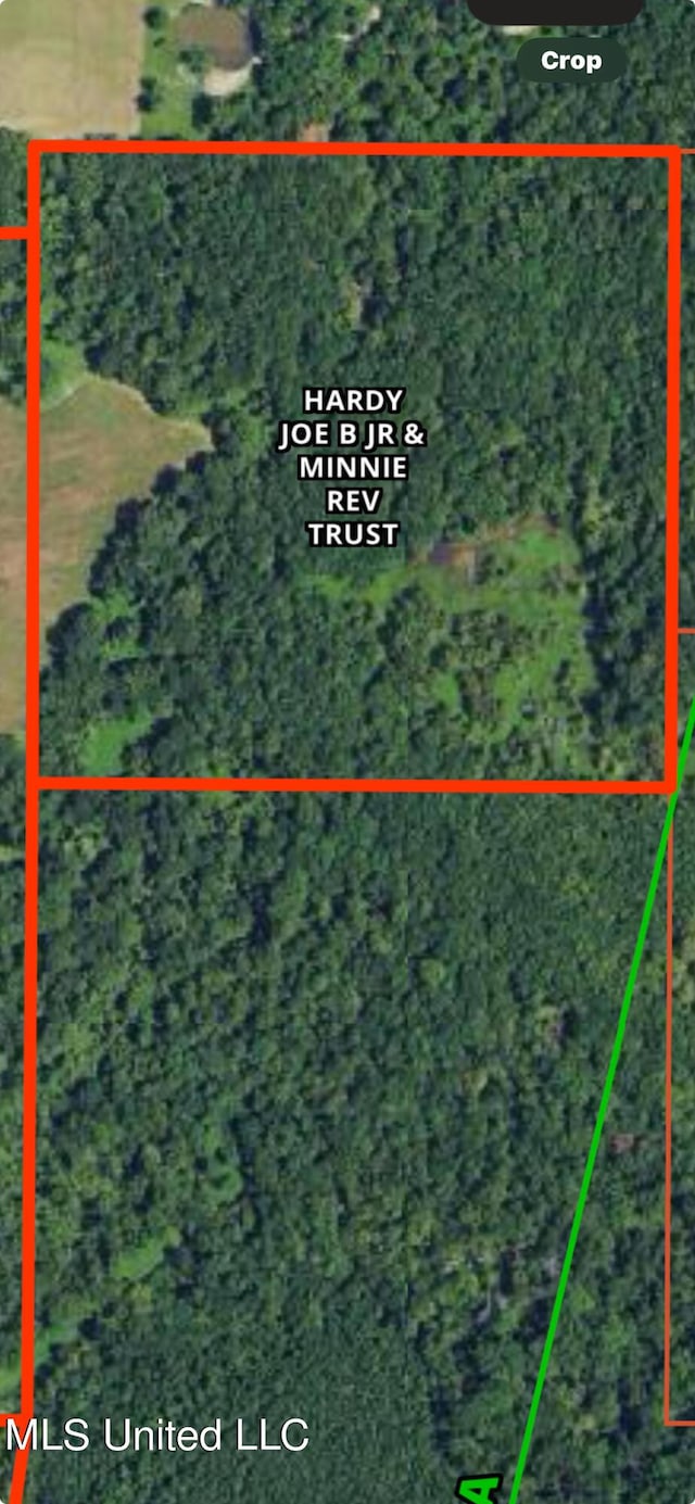 117 Old Yazoo City Rd, Canton, MS 39046