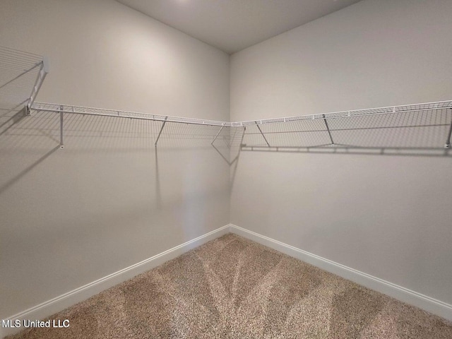 spacious closet with carpet floors