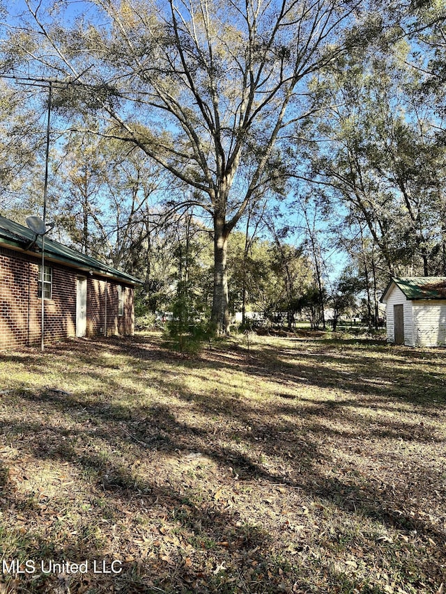 view of yard