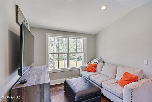 living room featuring lofted ceiling and dark wood-type flooring