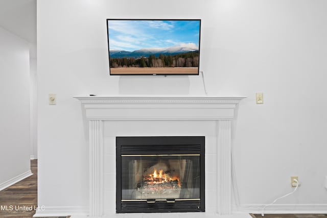 details with baseboards, a glass covered fireplace, and wood finished floors