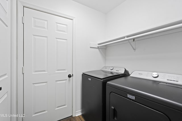 washroom featuring dark wood-style flooring, separate washer and dryer, and laundry area