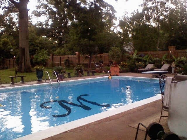 view of pool