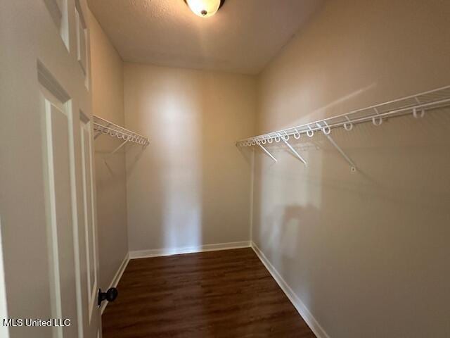 935 Frisky Dr, Brandon, MS 39047 - spacious closet featuring dark wood finished floors