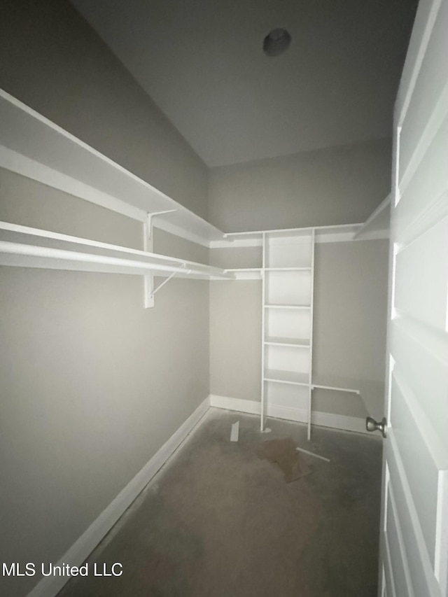 view of spacious closet