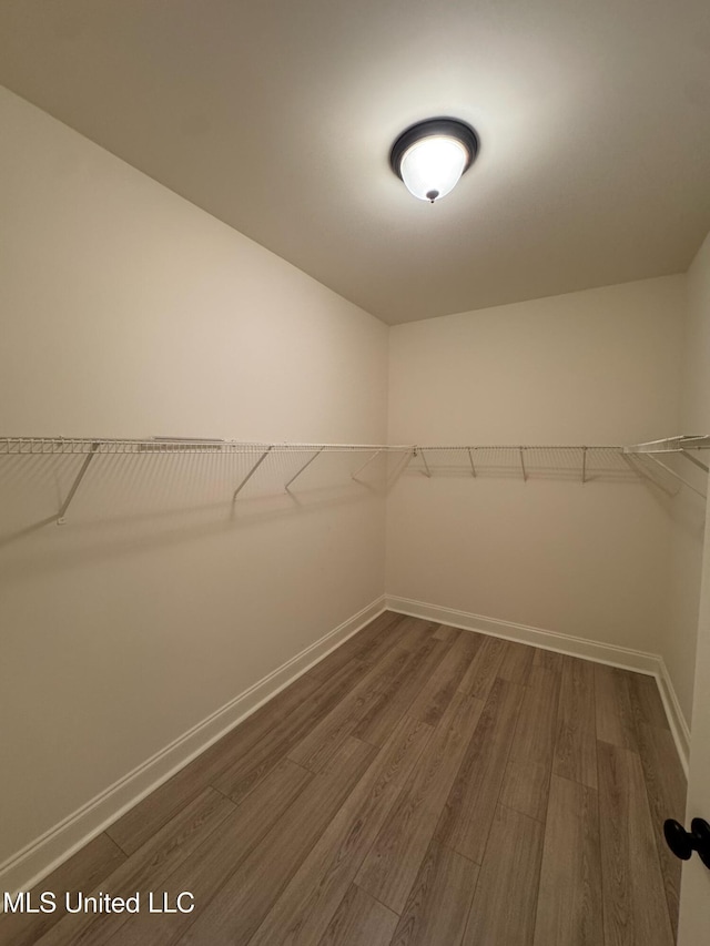 spacious closet featuring dark wood-type flooring