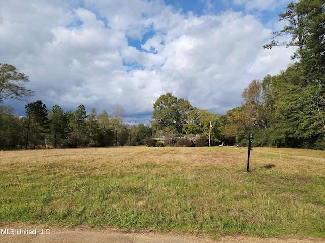 view of yard featuring a rural view