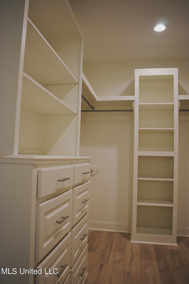 spacious closet featuring dark wood-type flooring