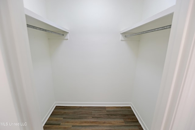 spacious closet featuring dark wood-style flooring