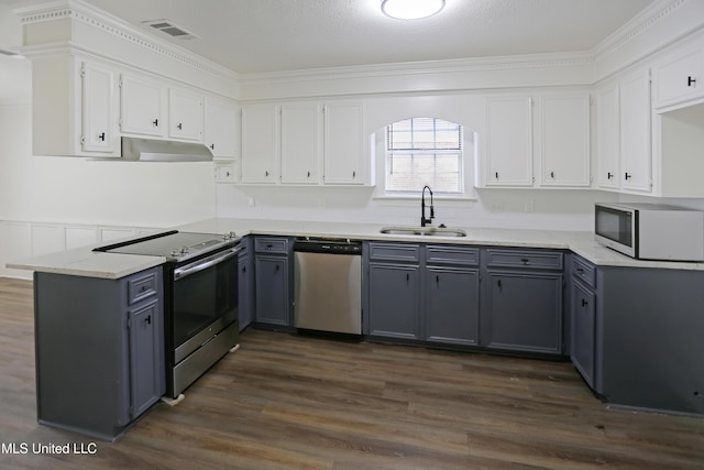 kitchen featuring gray cabinetry, under cabinet range hood, visible vents, appliances with stainless steel finishes, and a sink