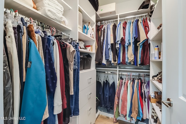 spacious closet with light wood-type flooring