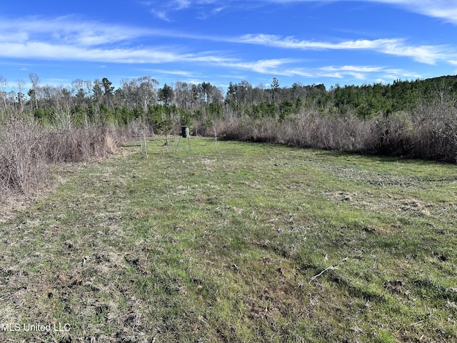 Listing photo 2 for 0 Bluff Springs Rd, Gloster MS 39638