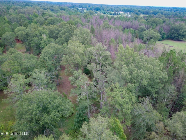 Taylor Way, Brandon, MS 39047