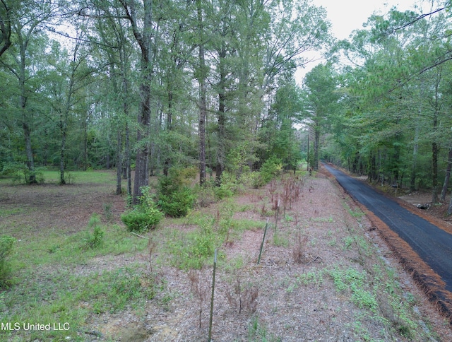 Taylor Way, Brandon, MS 39047