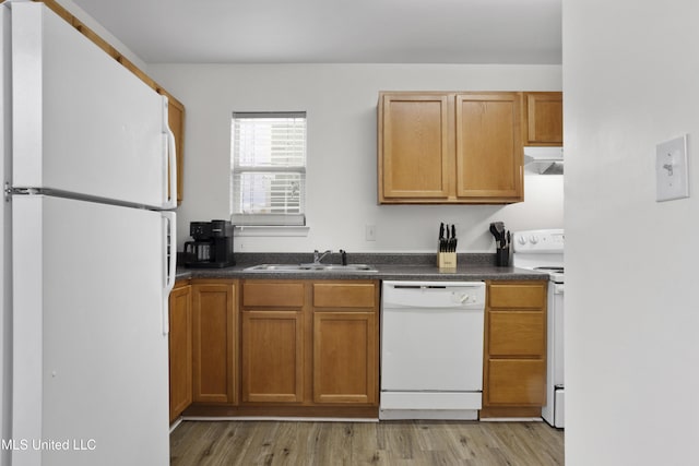 kitchen featuring white appliances, light hardwood / wood-style floors, and sink