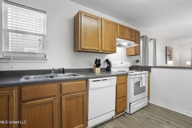 kitchen featuring white appliances, dark hardwood / wood-style flooring, and sink