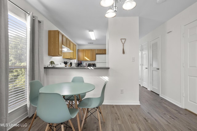 dining space with hardwood / wood-style flooring