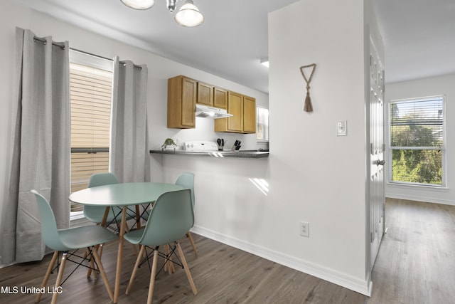 dining area with dark wood-type flooring